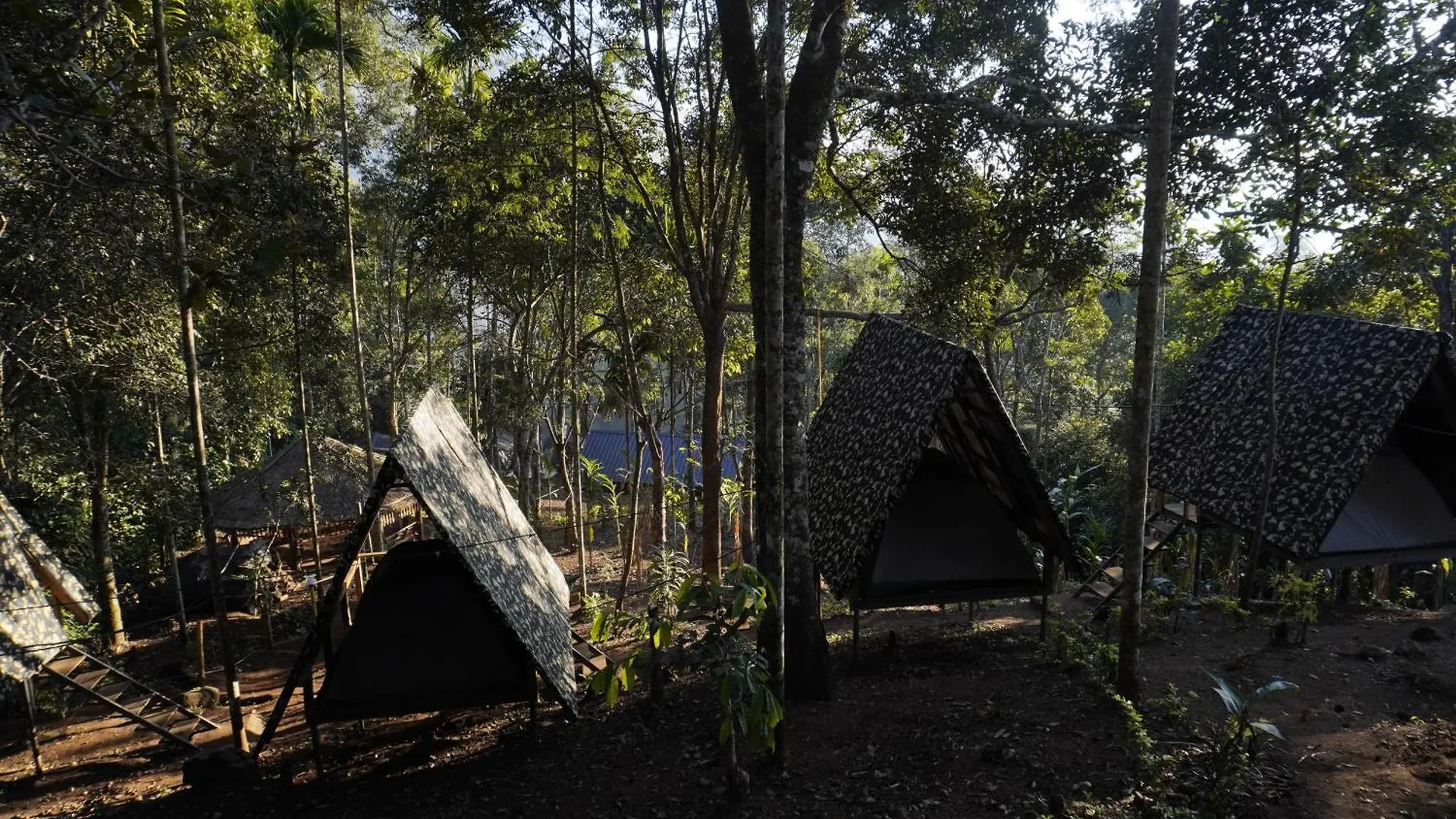 Camptop Munnar Kallar Vattiyar Campsite