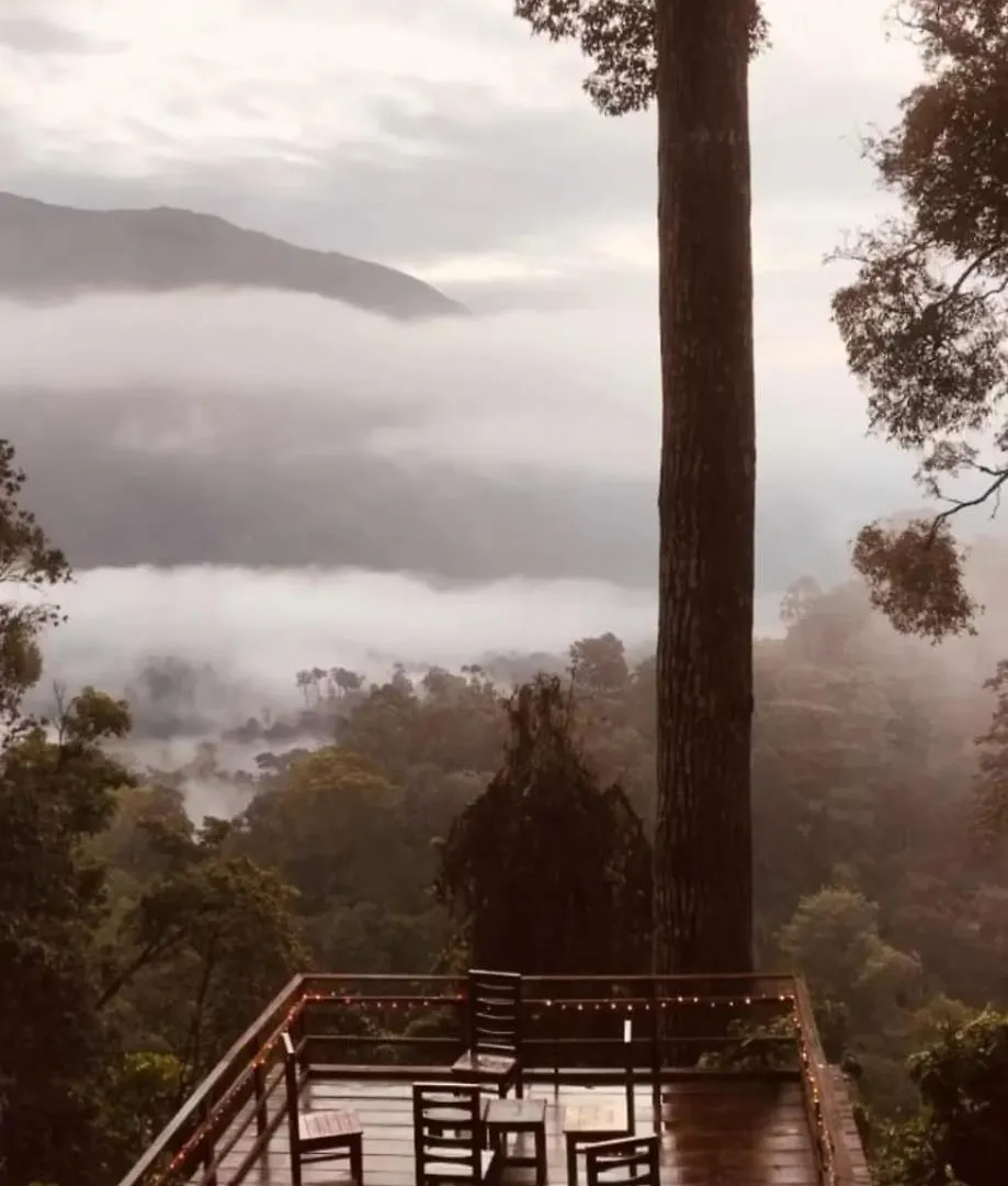 Camptop Munnar Kallar Vattiyar Campsite