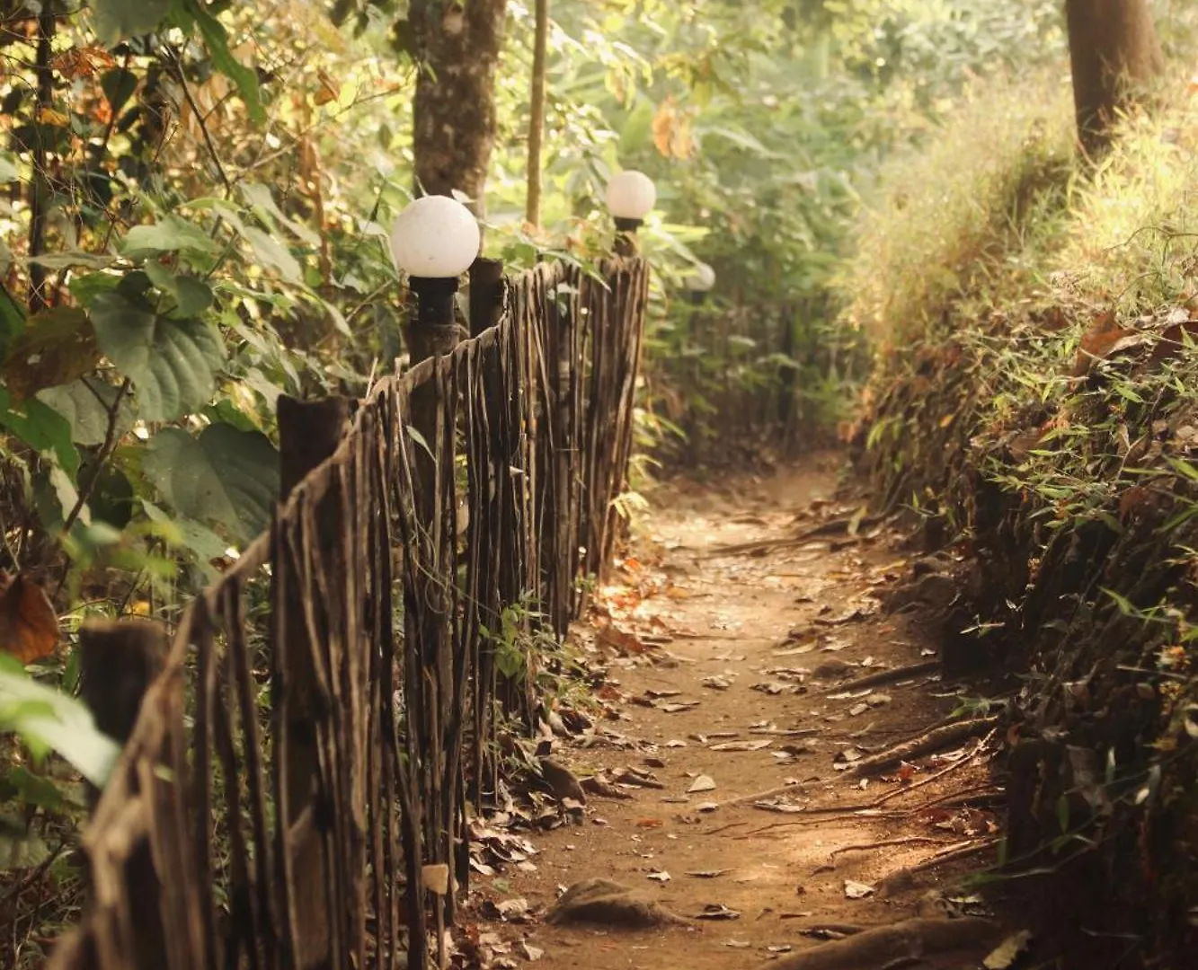 Campsite Camptop Munnar Kallar Vattiyar